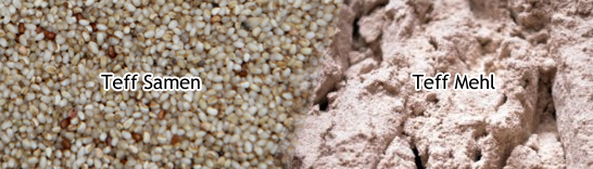 Teff Teffmehl und helle Teff Samen